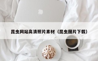 湖州昆虫网站高清照片素材（昆虫图片下载）